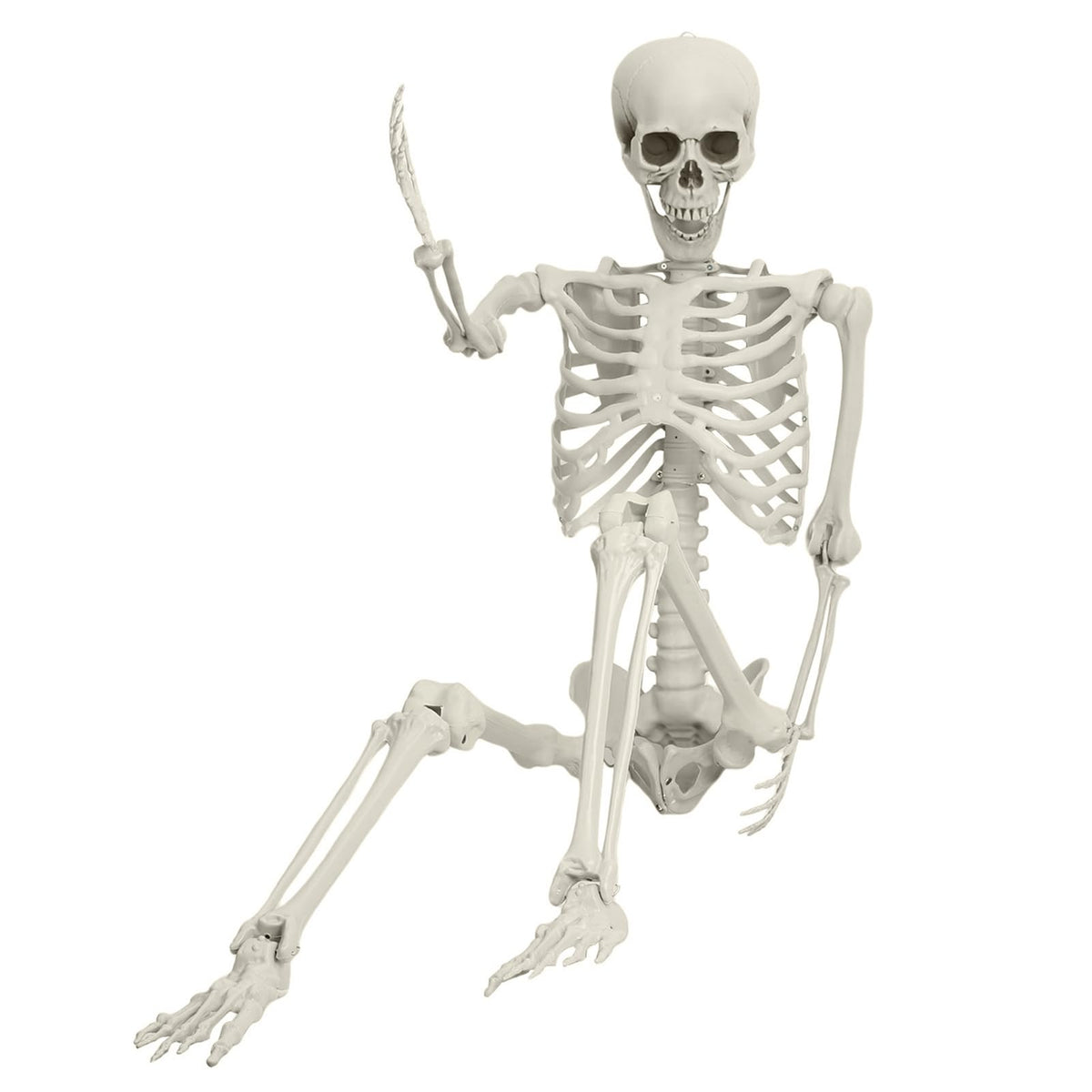5.4ft Posable Plastic Skeleton L9093
