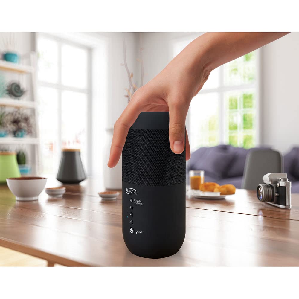 Black Waterproof Indoor and Outdoor Speakers, 2 Count Q141