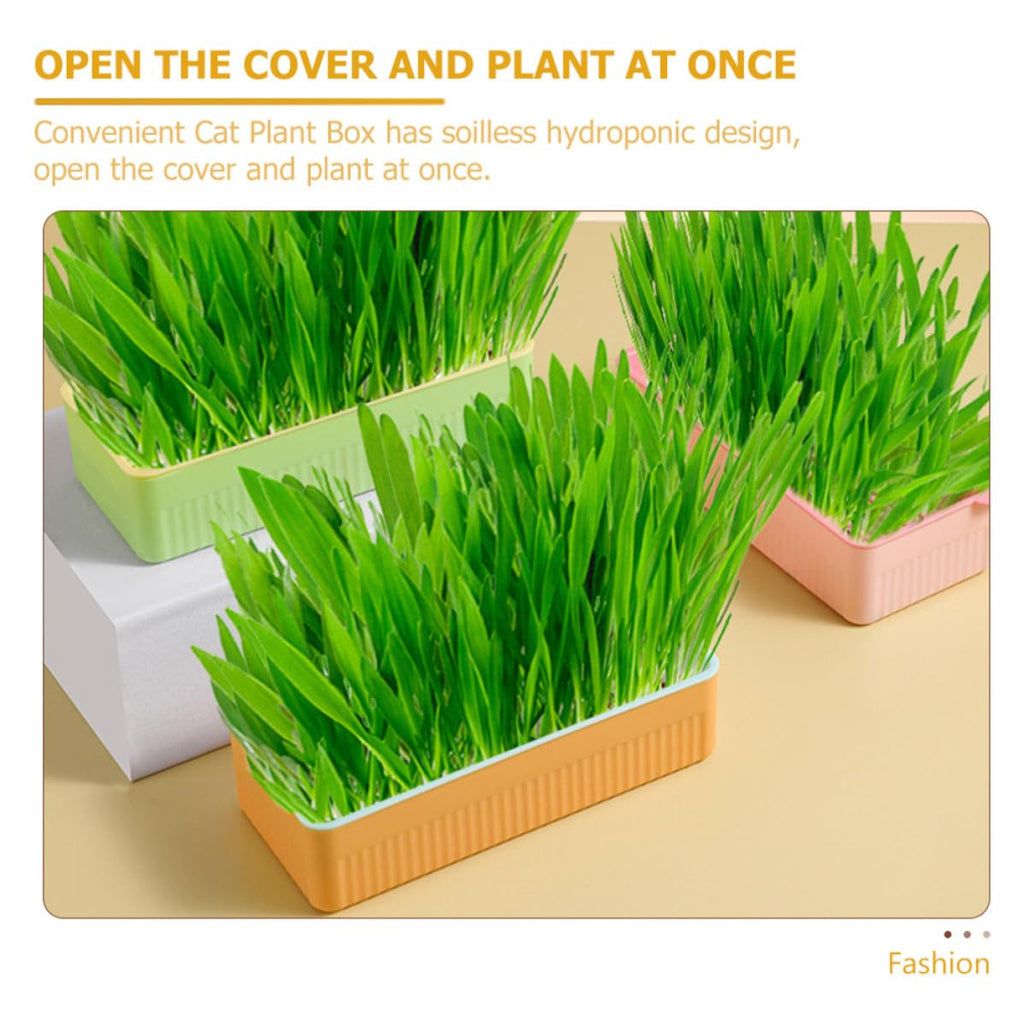 Cat Grass Planter Box Plastic 3 Pack J397735