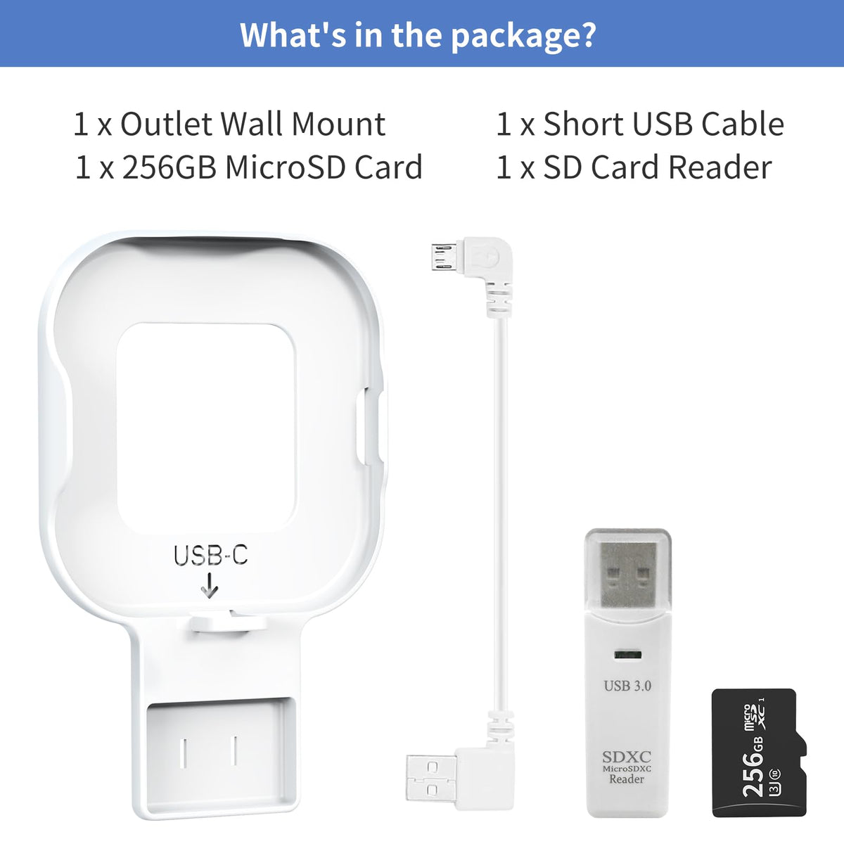 256GB MicroSD Card and Wall Mount with USB-C Cable V921