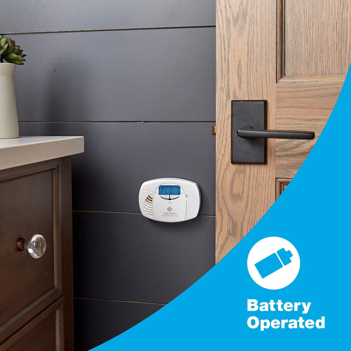Battery Carbon Monoxide Alarm with Digital Display T534760