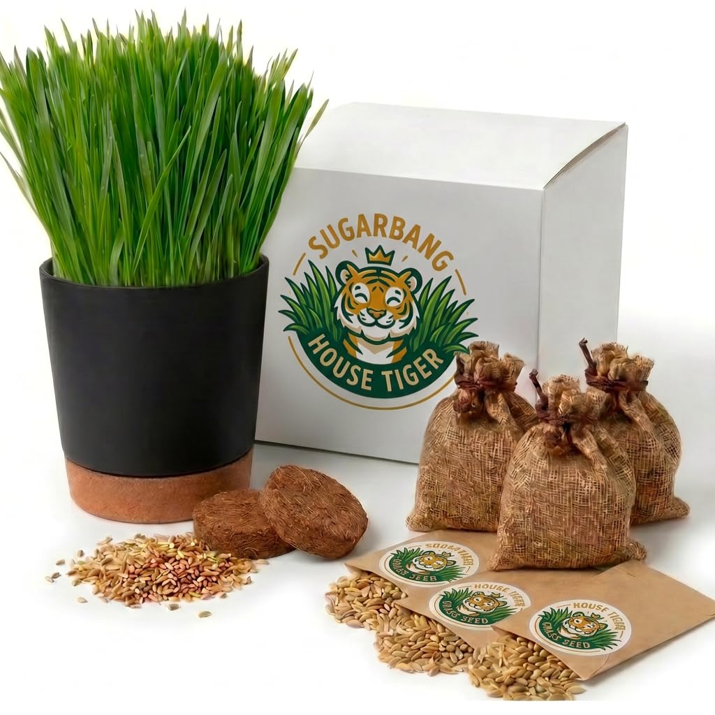 Cat Grass Gift Set with Self-Watering Pot & 3-Pack Refill A9429