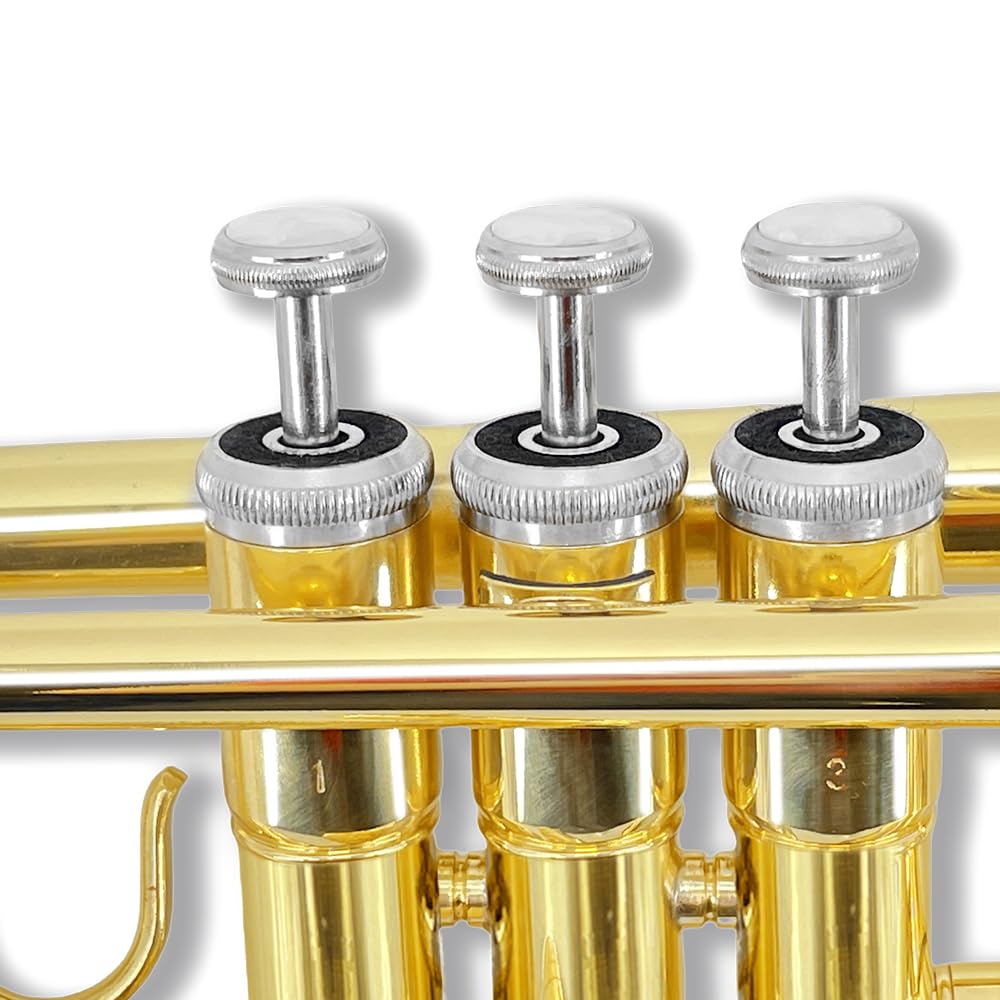 Standard Trumpet Set with Carrying Hard Case, 7C Mouthpiece, Cleaning Cloth and Gloves V525