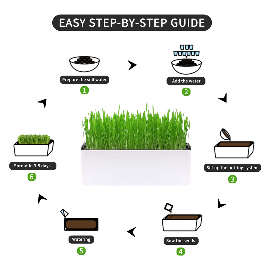 Indoor Cat Grass with Organic Seed Mix Rectangular Planter D5583