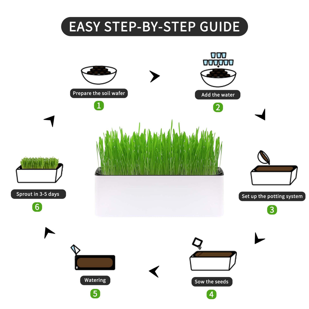Indoor Cat Grass with Organic Seed Mix Rectangular Planter D5583