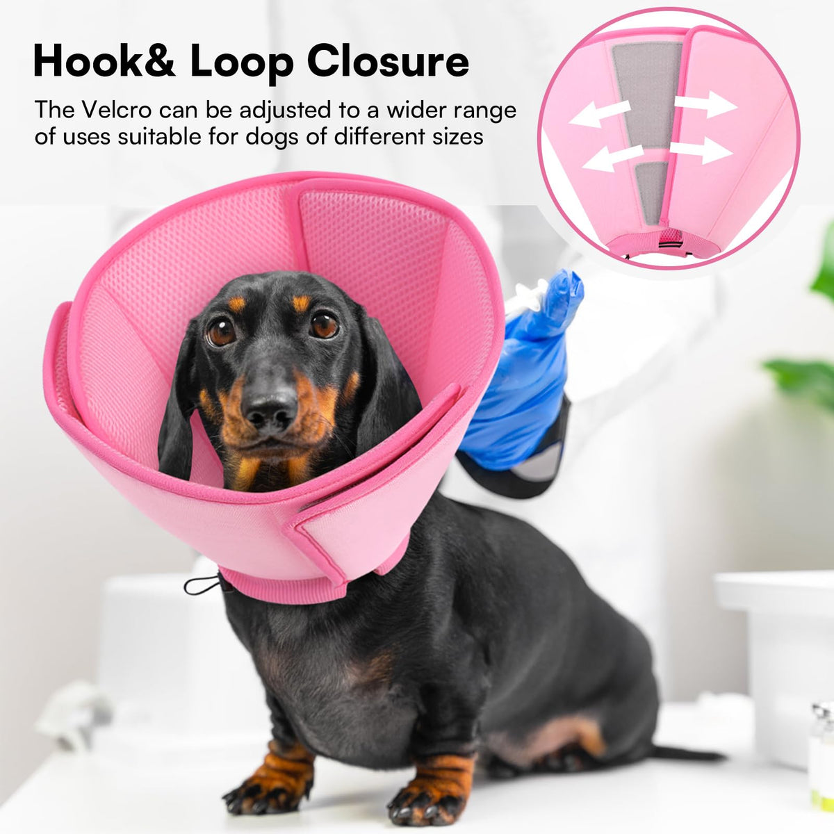 Soft Dog Cone Collar P6222