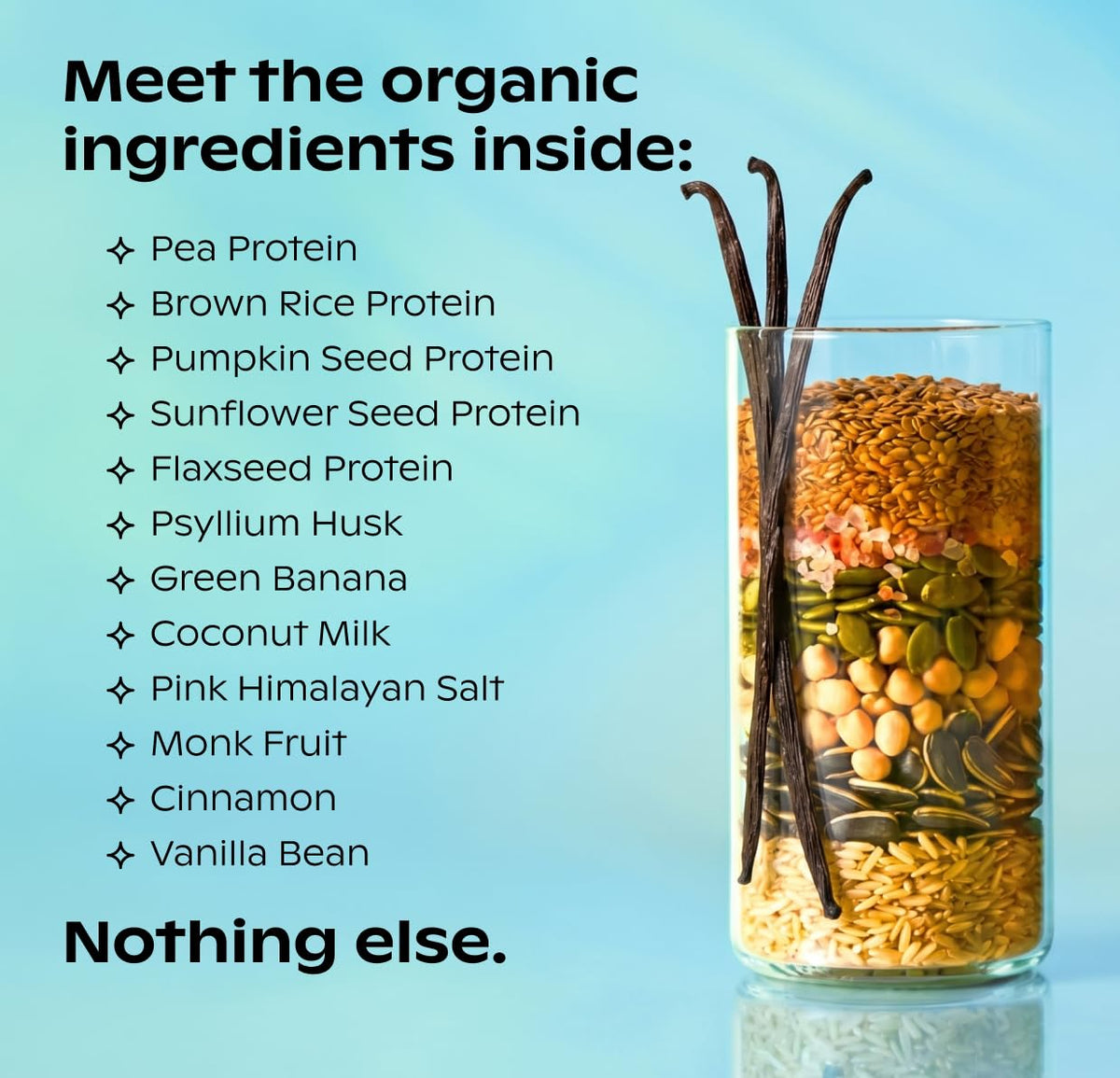 Vanilla Plant Protein 21g 14 Servings T5048