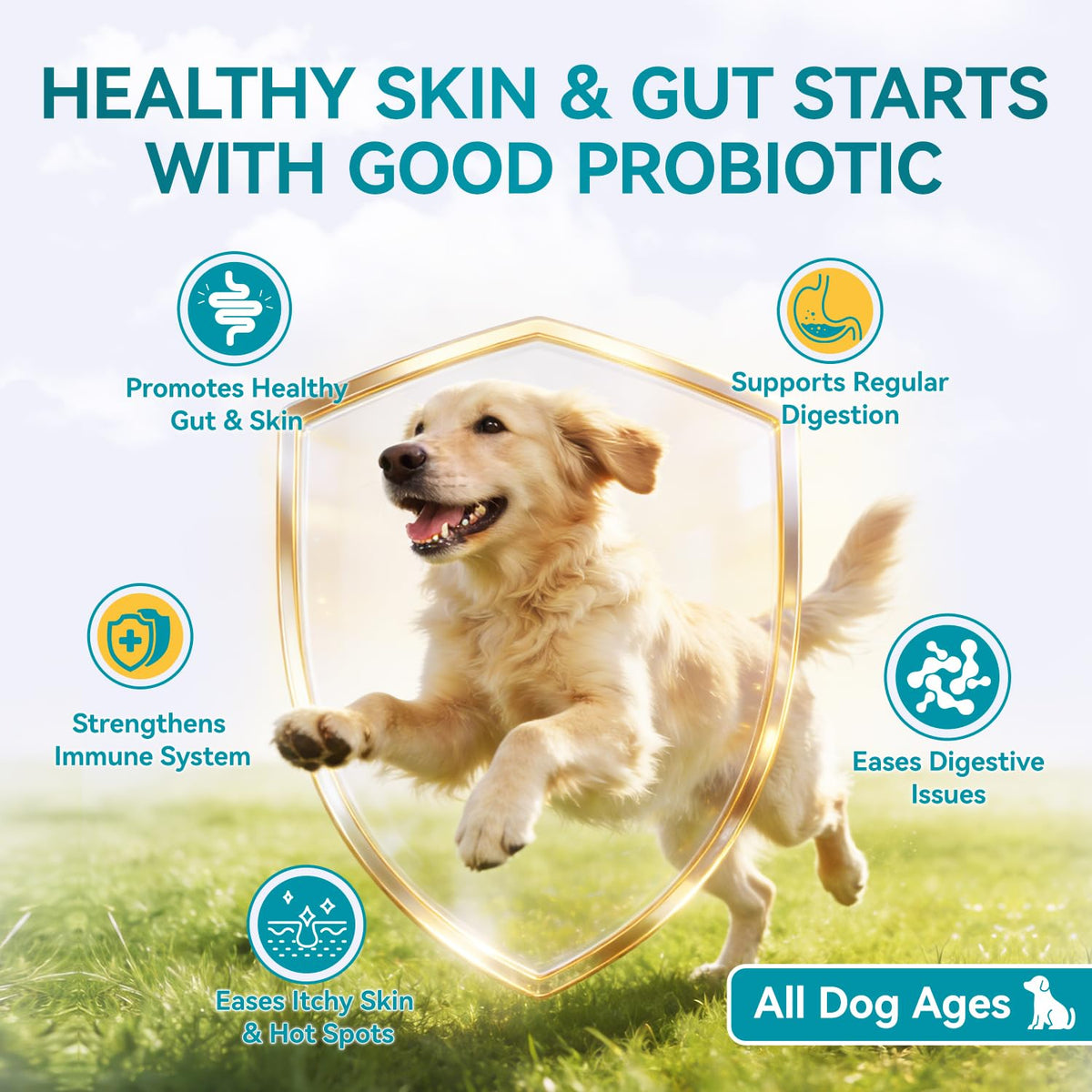 Probiotics for Dogs, 200 Soft Chews with Digestive Enzymes and Prebiotics G68222