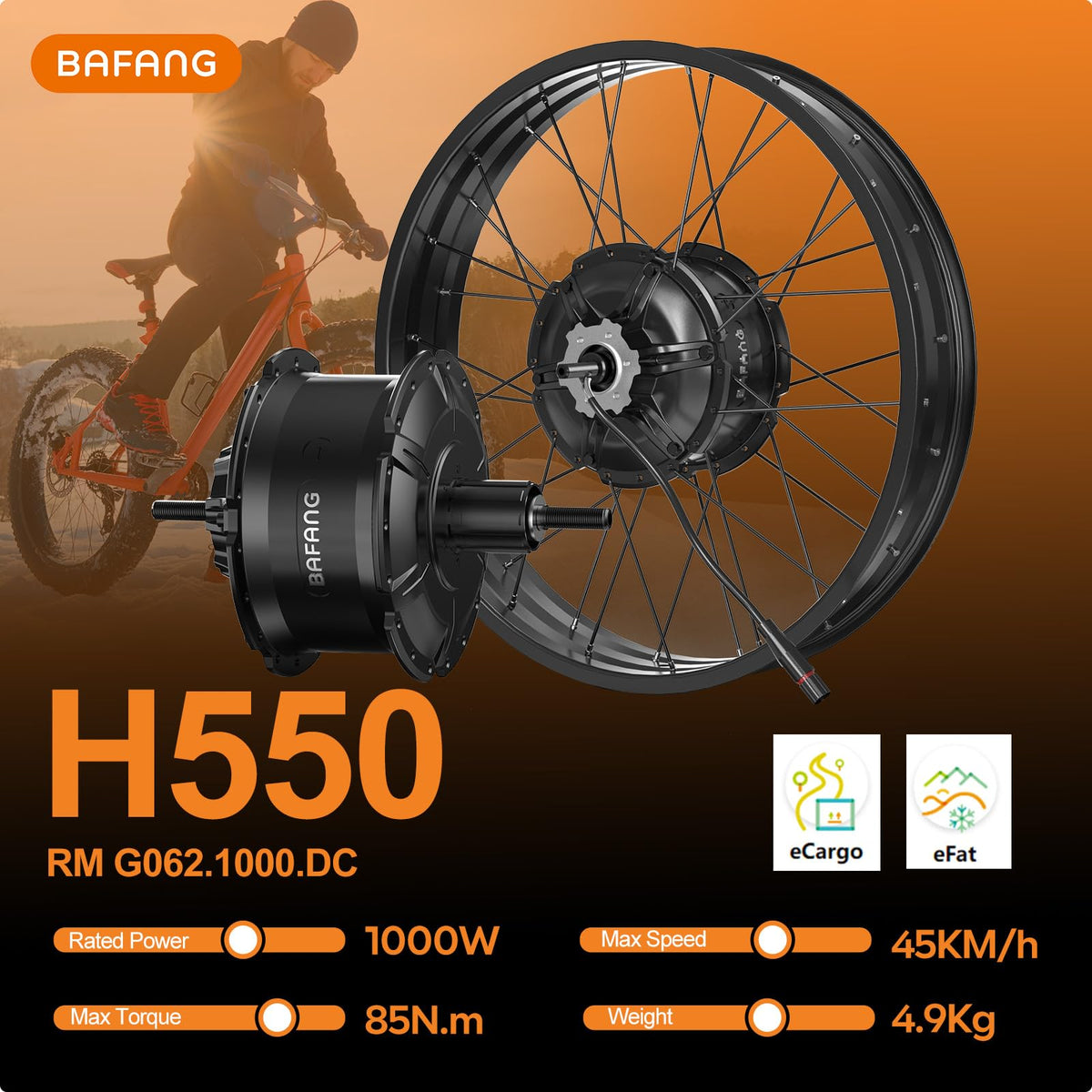48V 1000W Ebike Conversion Kit with TFT Display and Battery W741670