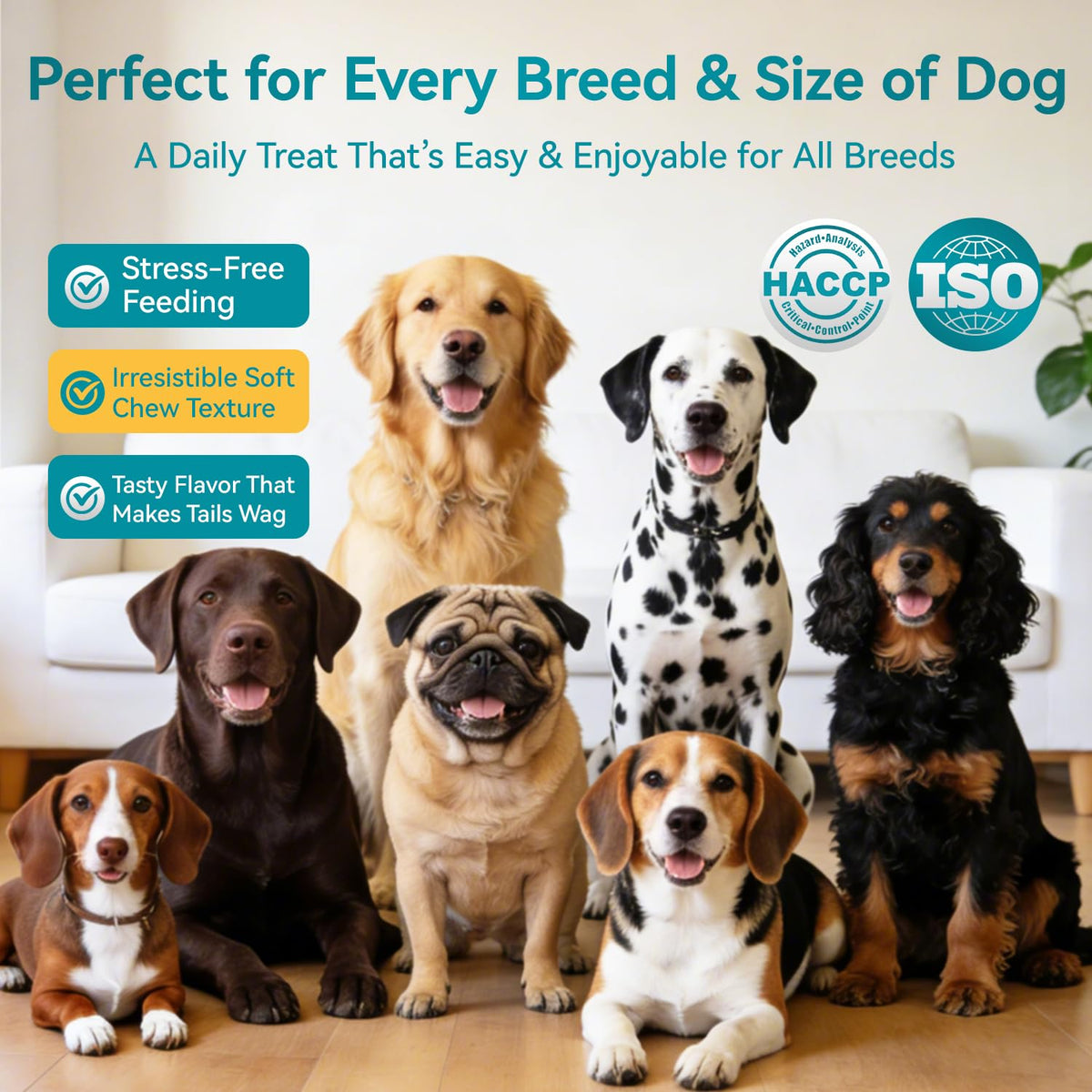 Probiotics for Dogs, 200 Soft Chews with Digestive Enzymes and Prebiotics G68222