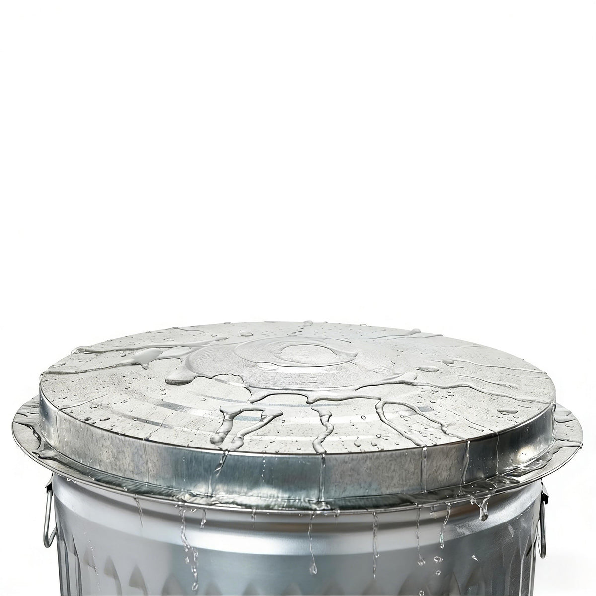 31 Gallon Galvanized Steel Trash Can with Lid Q33350