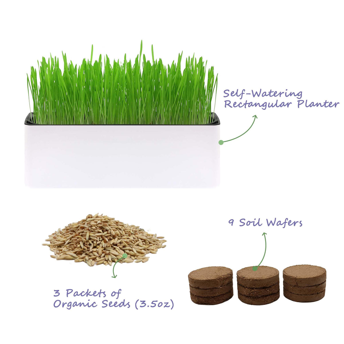 Indoor Cat Grass with Organic Seed Mix Rectangular Planter D5583