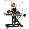 Electric Dog Grooming Table B261