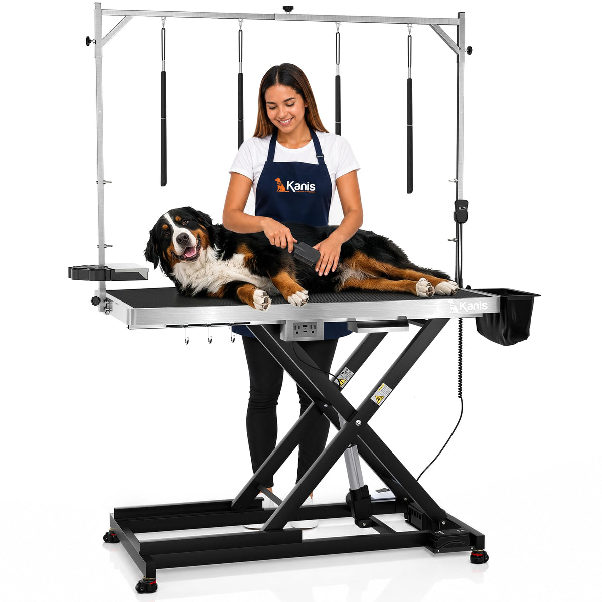 Electric Dog Grooming Table B261