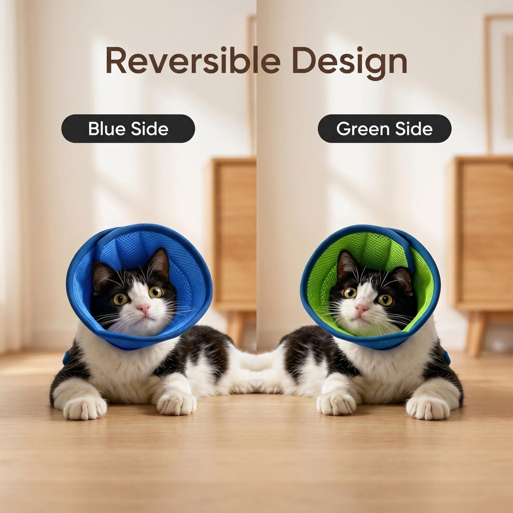 Soft Cat Cone Collar K493103