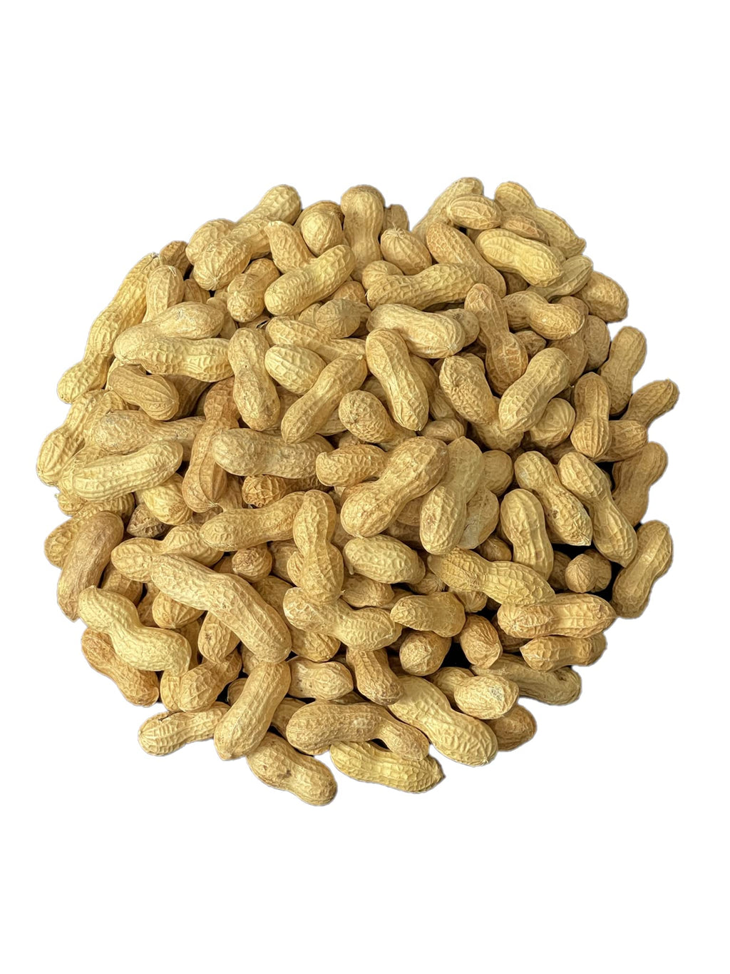 Raw Peanuts in Shell 10LB T512913