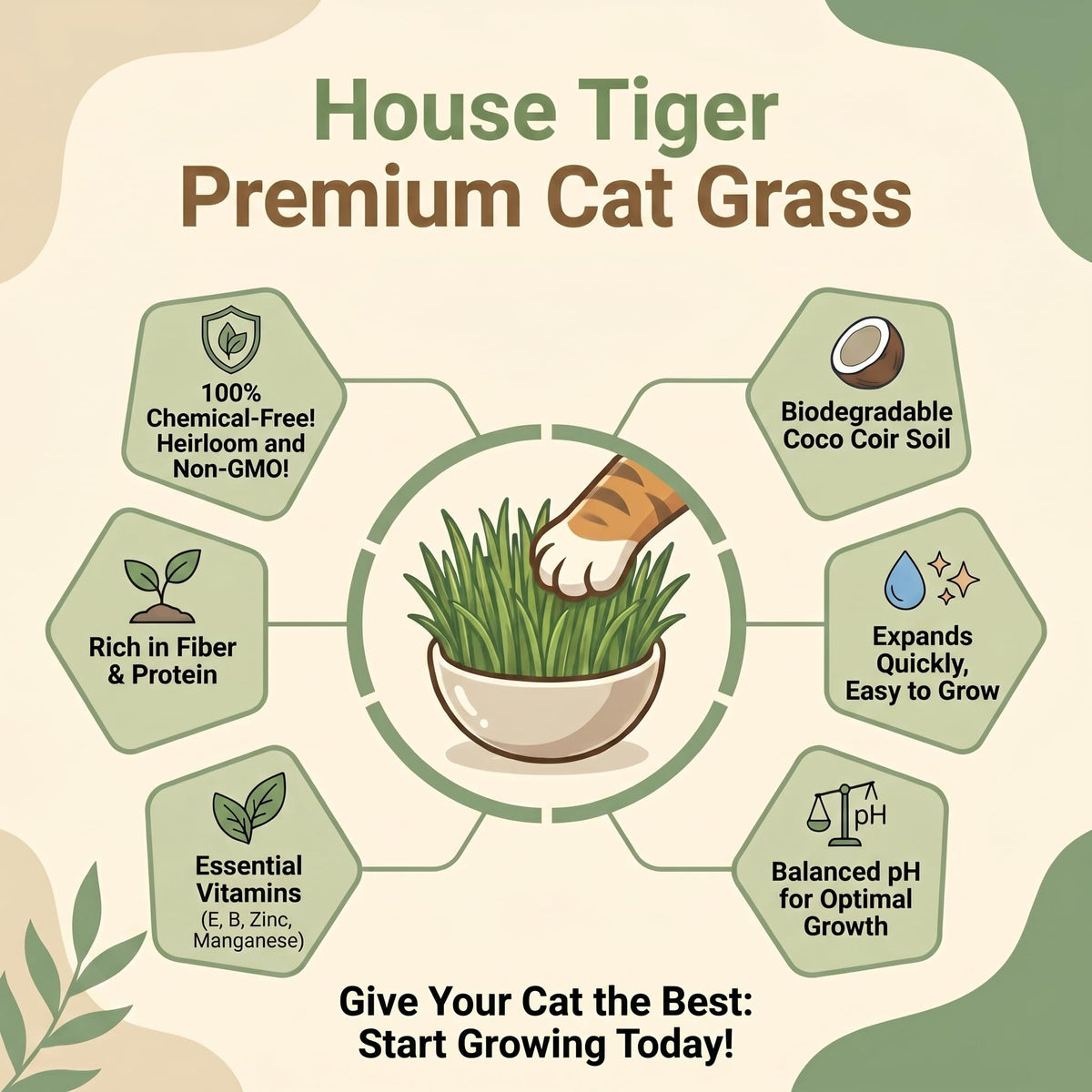 Cat Grass Gift Set with Self-Watering Pot & 3-Pack Refill A9429