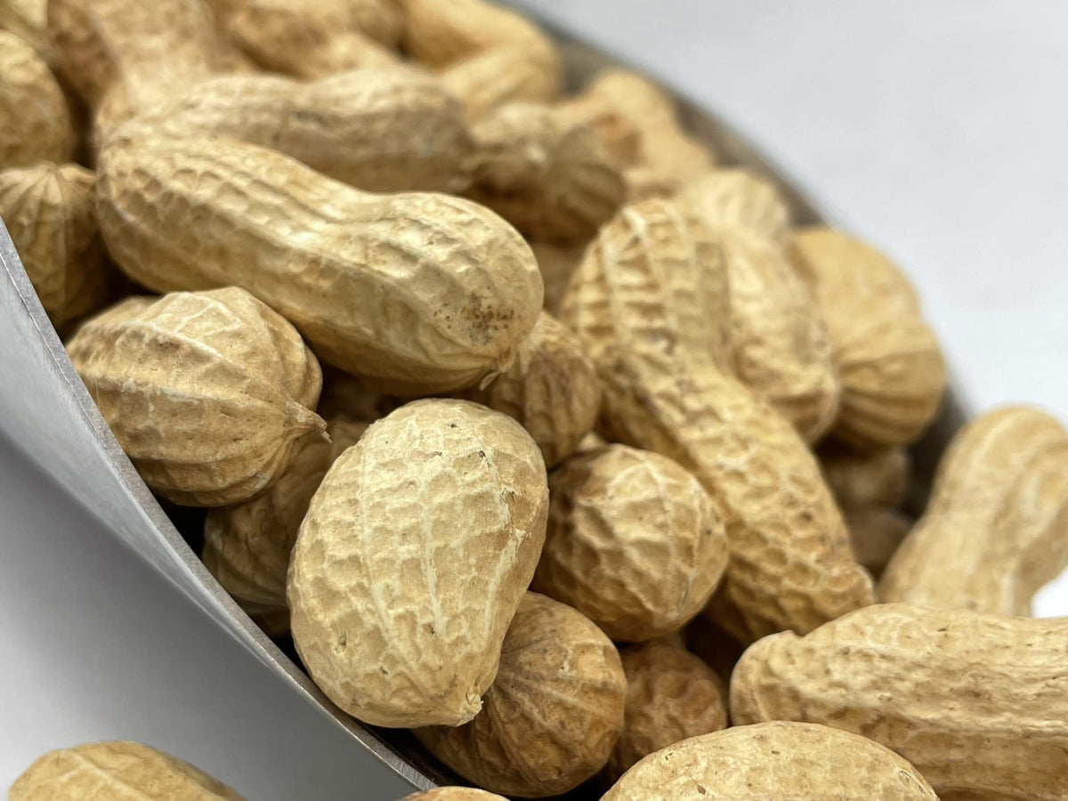 Raw Peanuts in Shell 10LB T512913