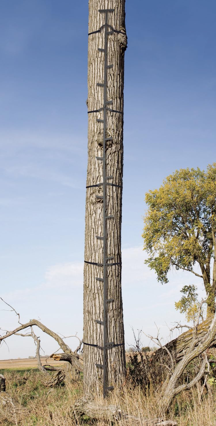 Quick-Stick Climbing System 20ft Reach V666495