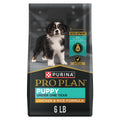 High Protein Chicken & Rice Dry Puppy Food 6 lb Bag X941