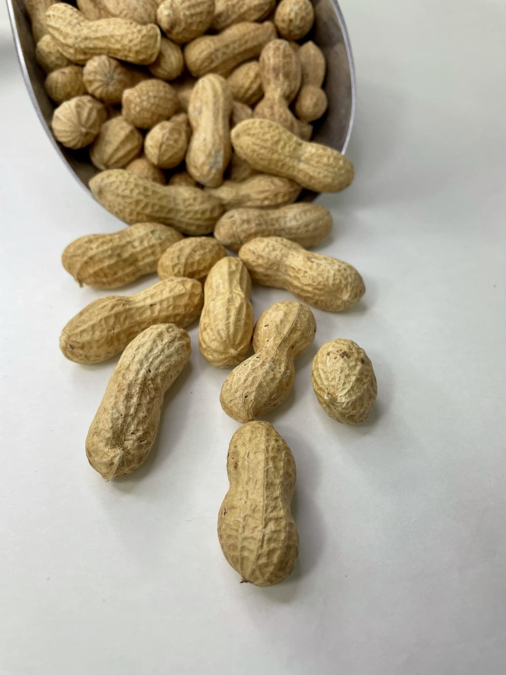 Raw Peanuts in Shell 10LB T512913