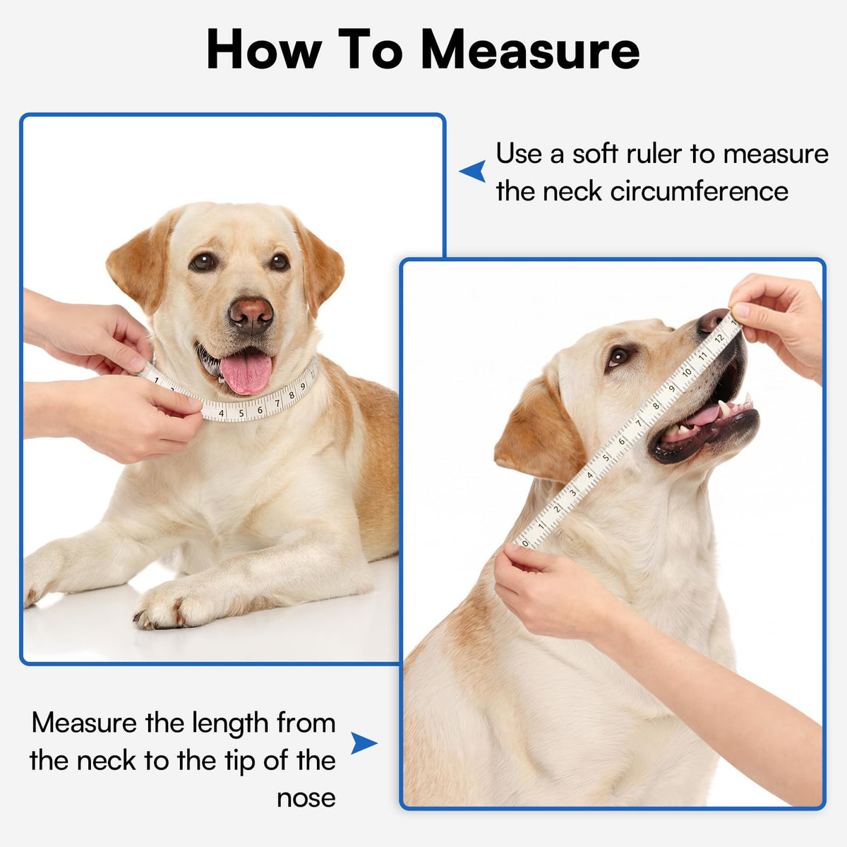Soft Dog Cone Collar P6222