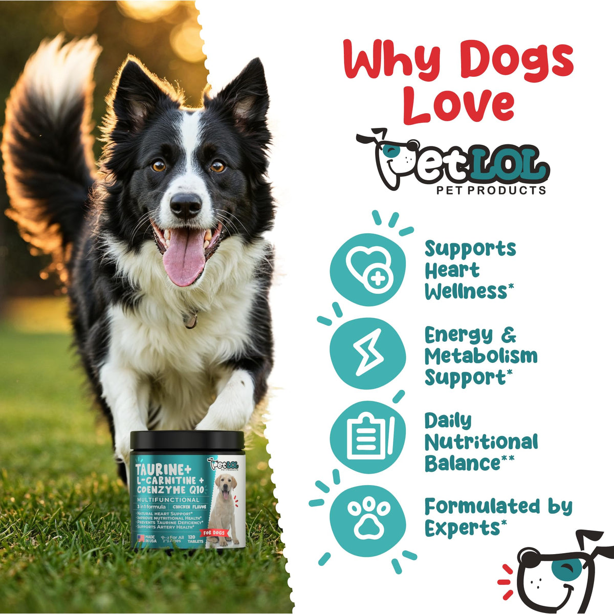 Taurine 500 mg for Dogs K99093