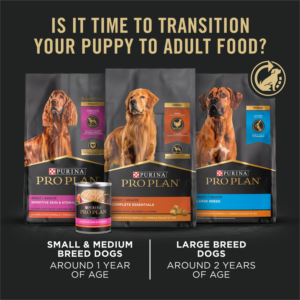 High Protein Chicken & Rice Dry Puppy Food 6 lb Bag X941