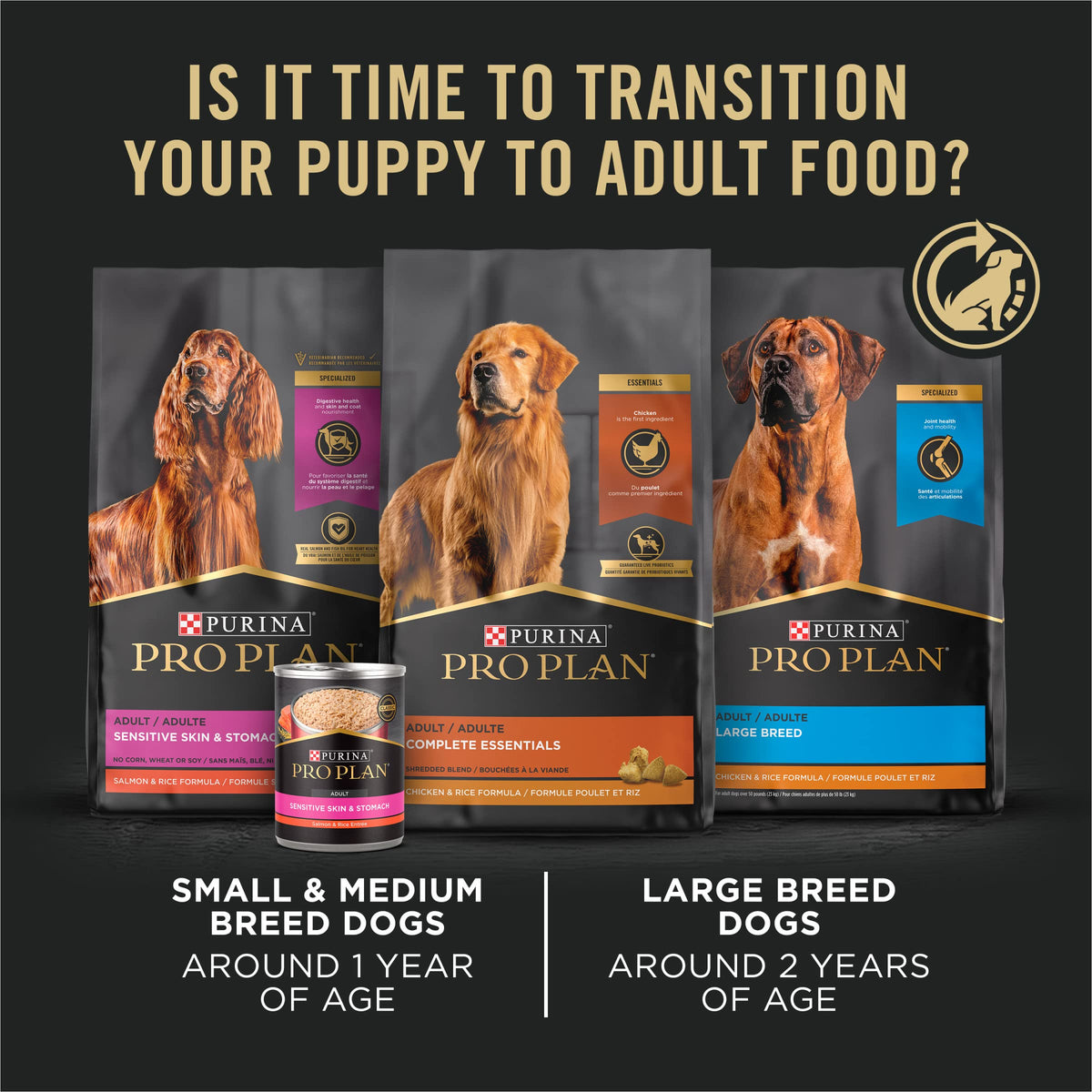 High Protein Chicken & Rice Dry Puppy Food 6 lb Bag X941