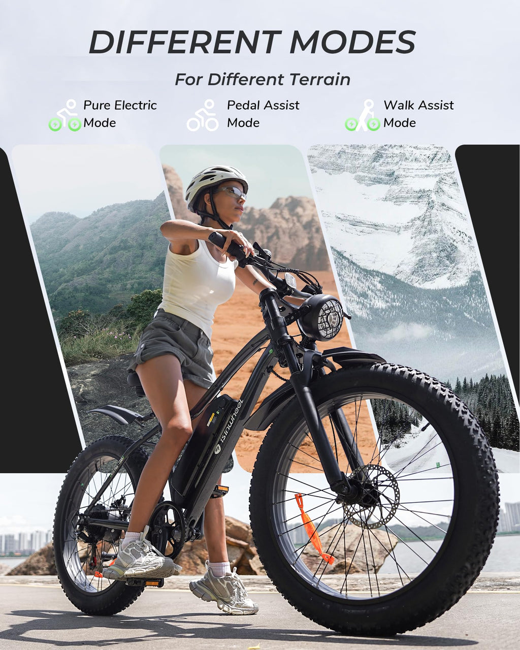 1000W Peak Motor 70 Miles Fat Tire Electric Bike I6165