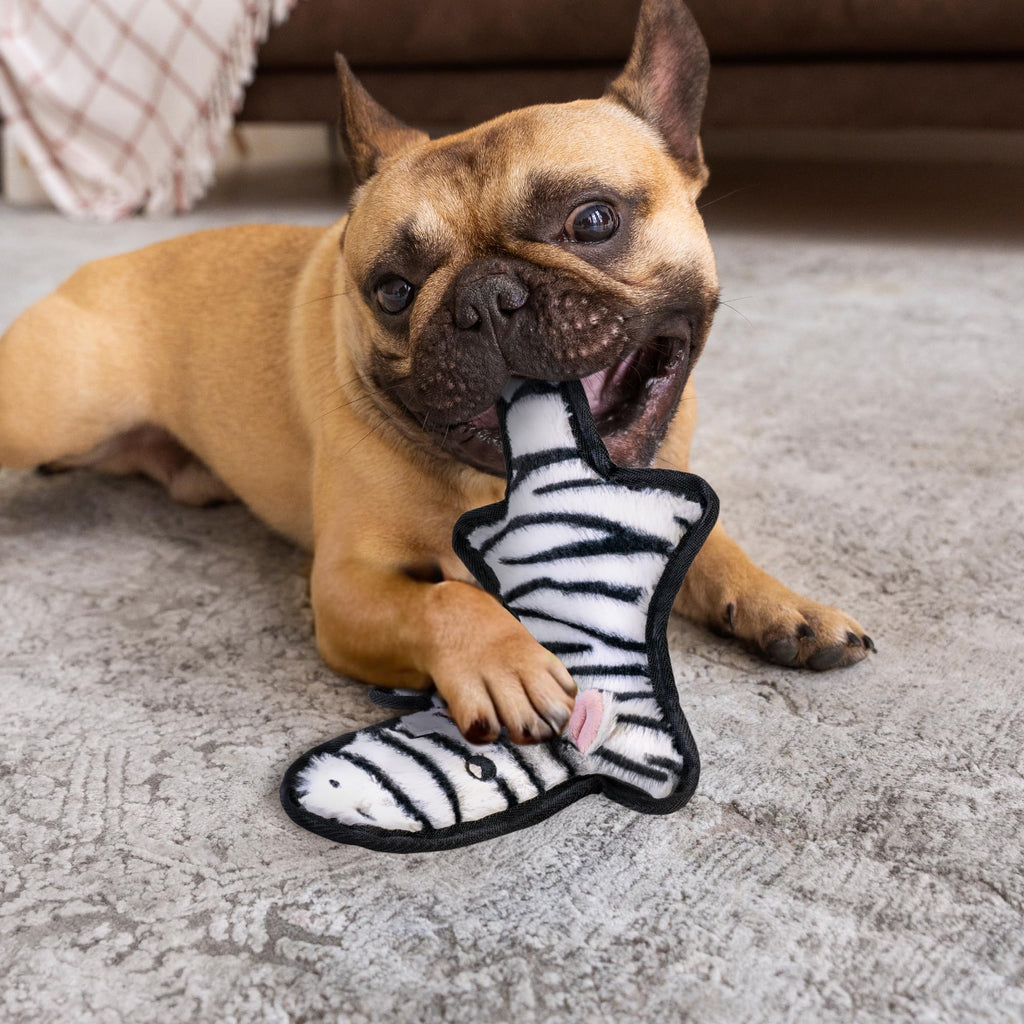 Crinkle Squeaky Plush Dog Toys 5 Pack H749