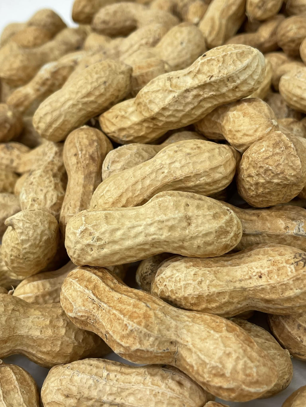 Raw Peanuts in Shell 10LB T512913