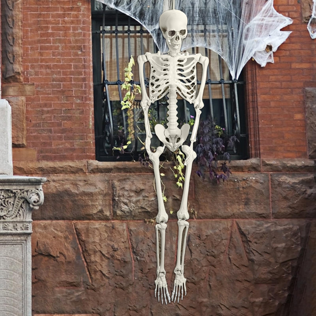 5.4ft Posable Plastic Skeleton L9093
