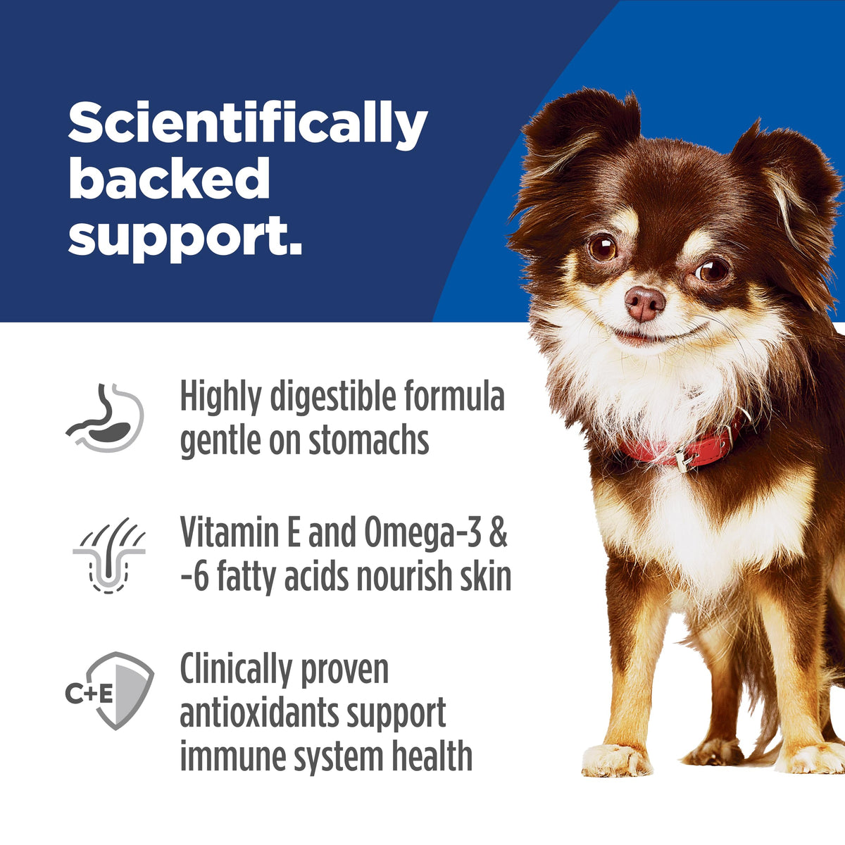 Sensitive Stomach & Skin Small & Mini Dry Dog Food Y7855