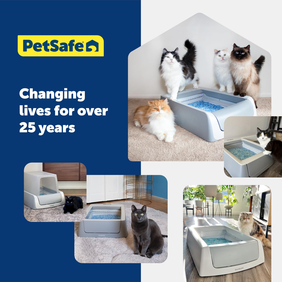 Fragrance-Free Crystal Litter Box Tray Refill S384079