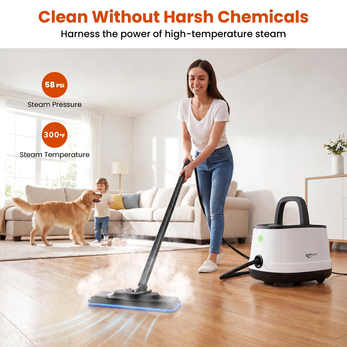 Multipurpose Steam Cleaner P227
