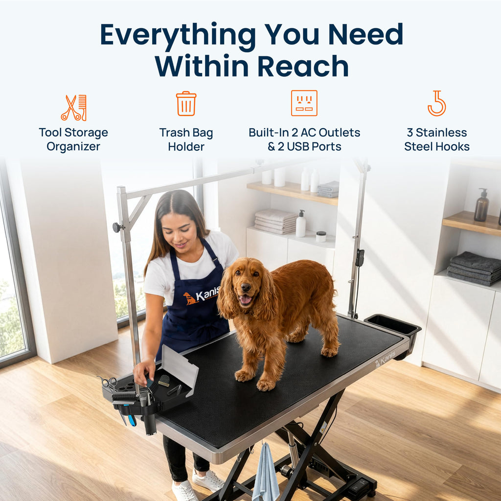 Electric Dog Grooming Table B261