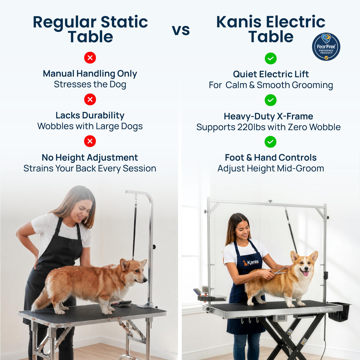 Electric Dog Grooming Table B261