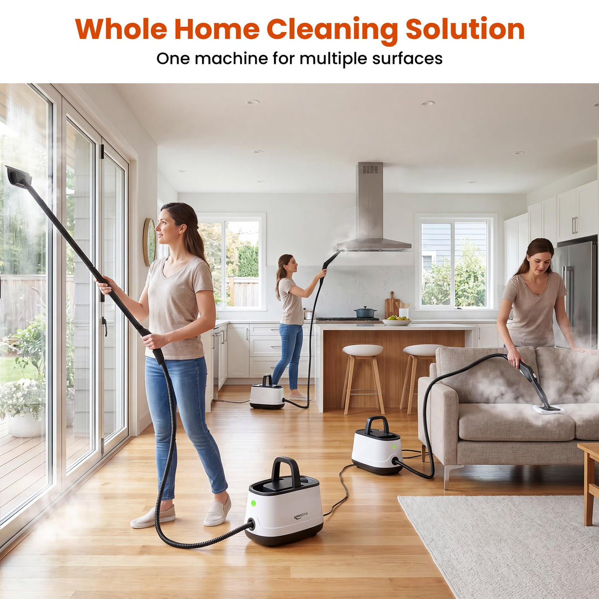 Multipurpose Steam Cleaner P227
