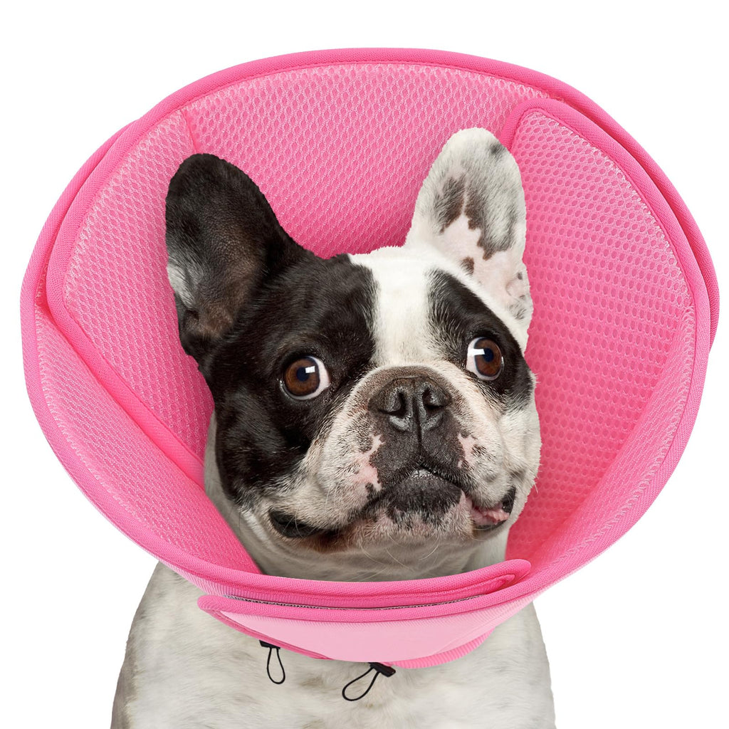 Soft Dog Cone Collar P6222