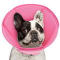 Soft Dog Cone Collar P6222