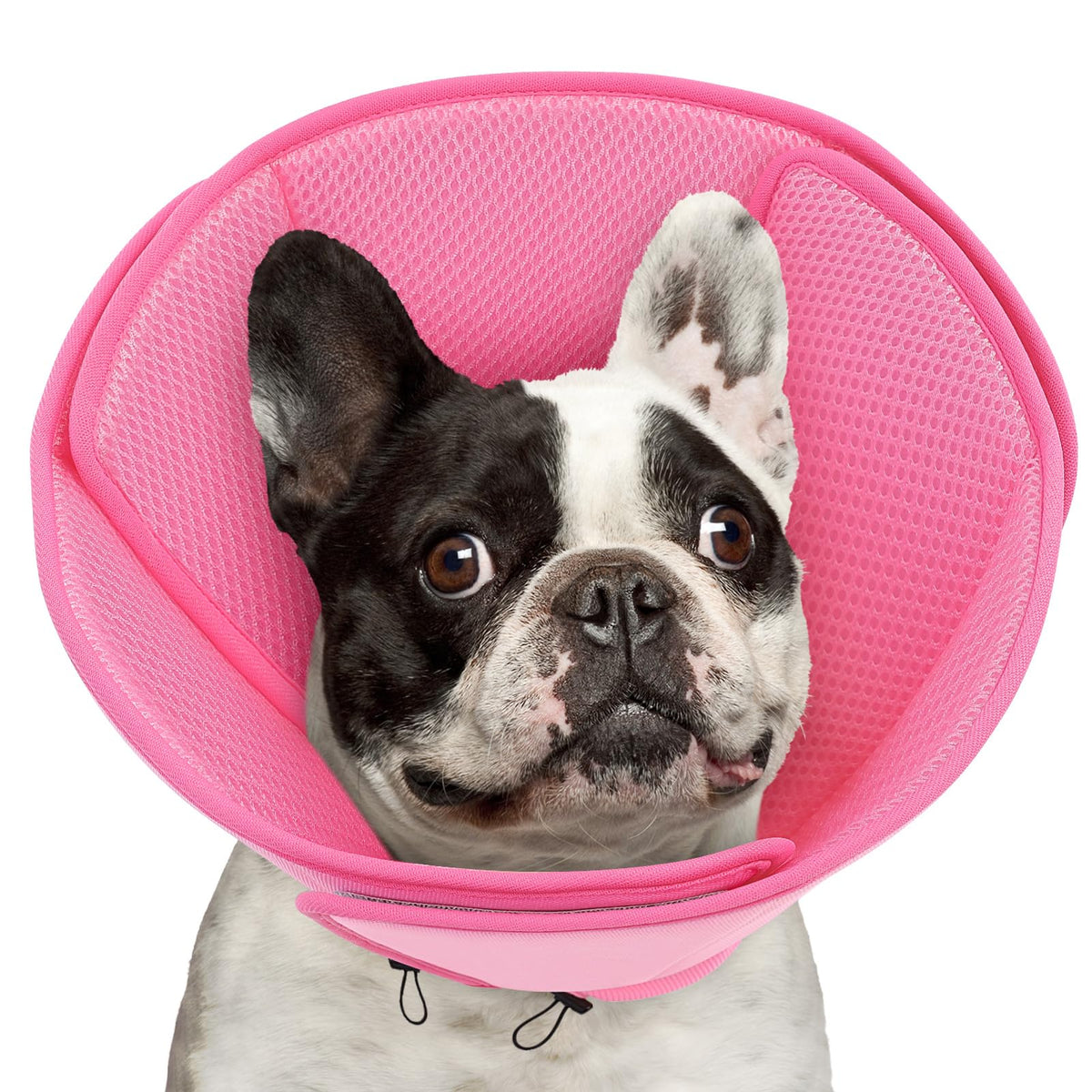 Soft Dog Cone Collar P6222