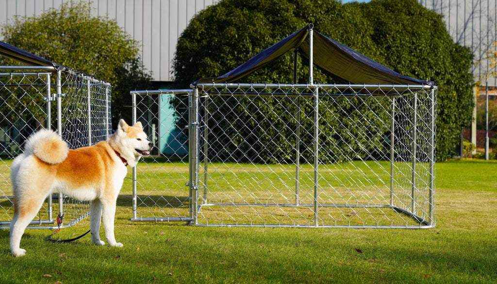 Heavy Duty Steel Dog Kennel with Secure Lock J922788